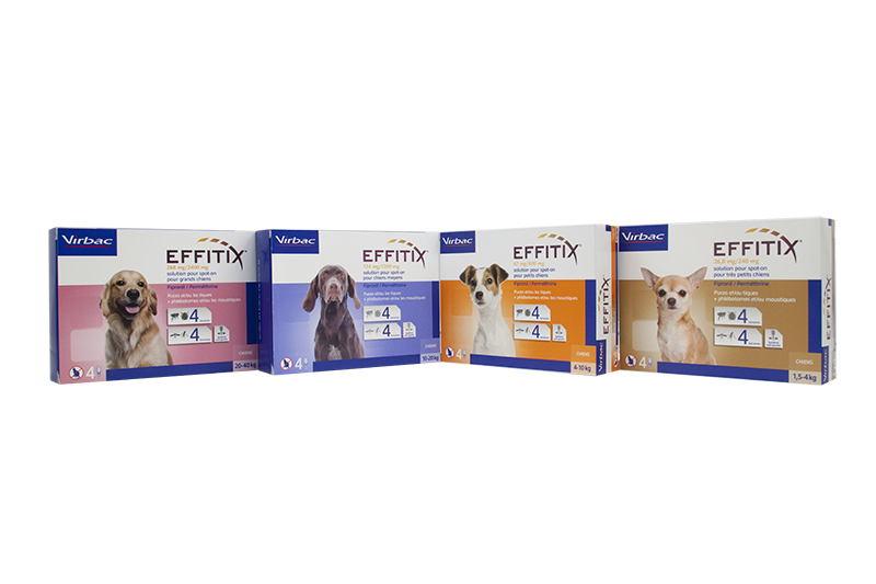 Effitix 800pix  2019.png