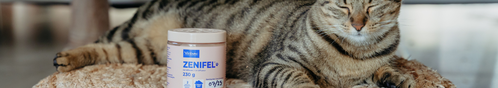 HEADER_1680300px.png