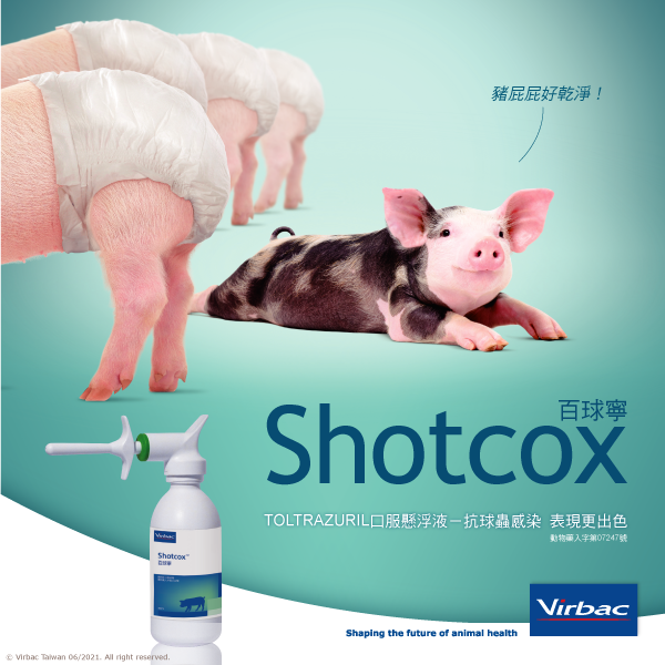 Swine-Shotcox-Post-1.png