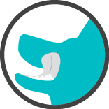 11.png