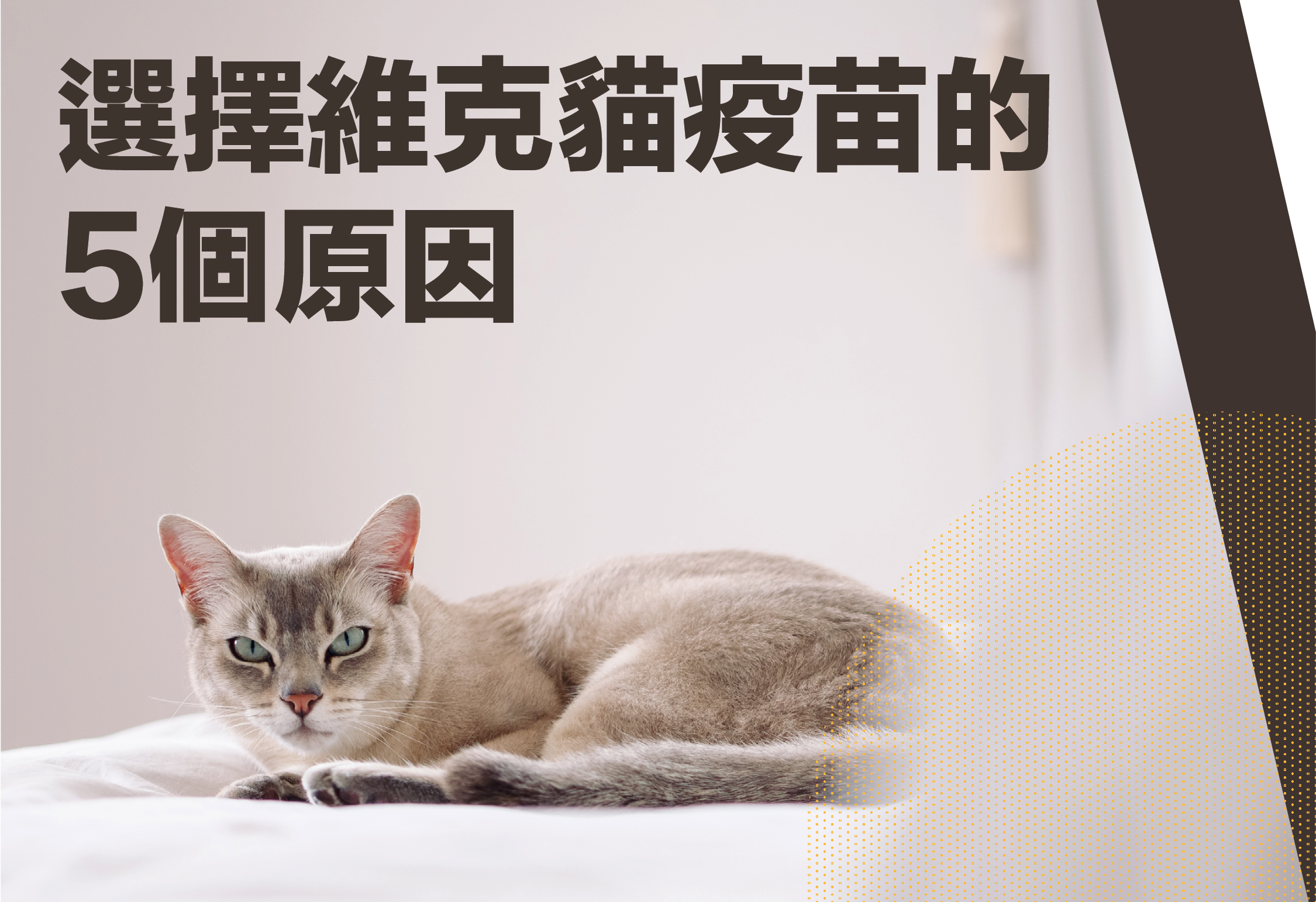 _banner 貓疫苗大dm－1.png