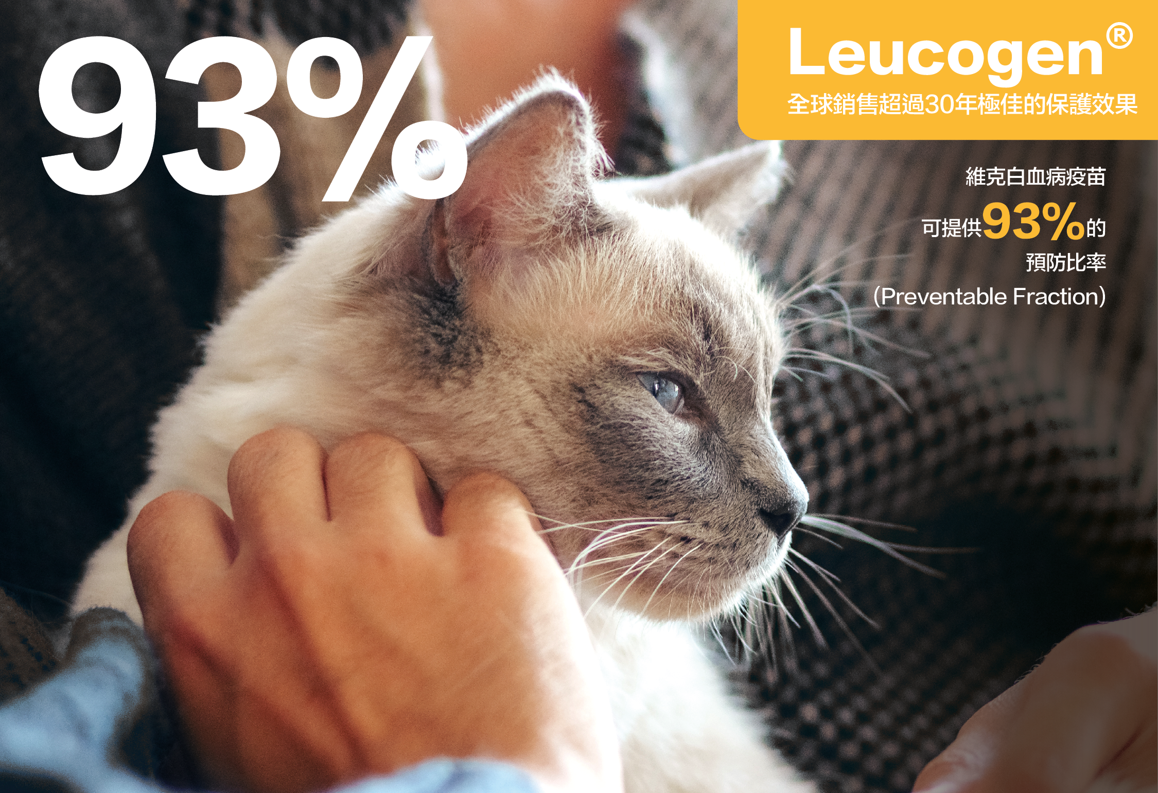 _banner 貓疫苗大dm－3.png