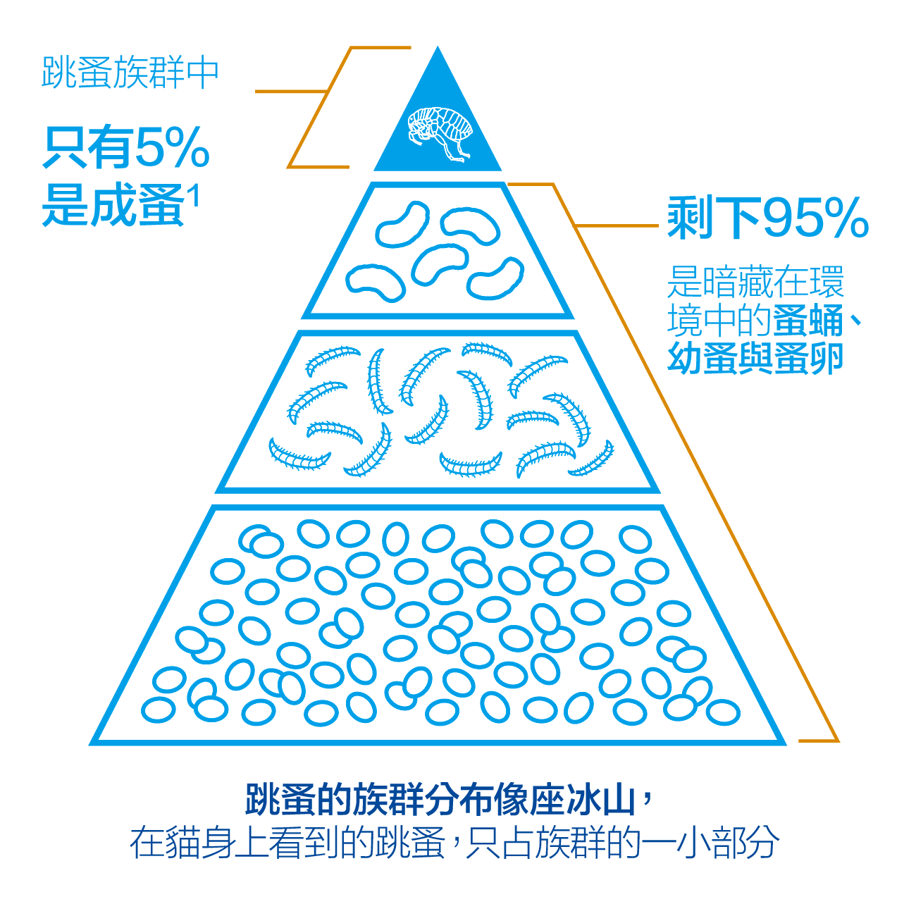 ezgif.com-gif-maker (1).png