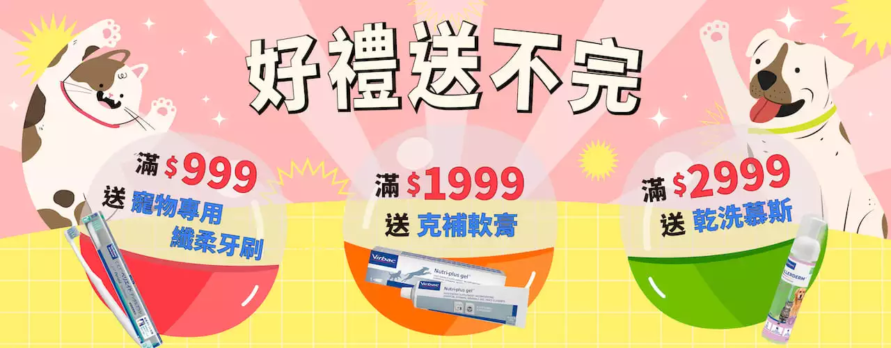 ezgif.com-gif-maker (10).webp